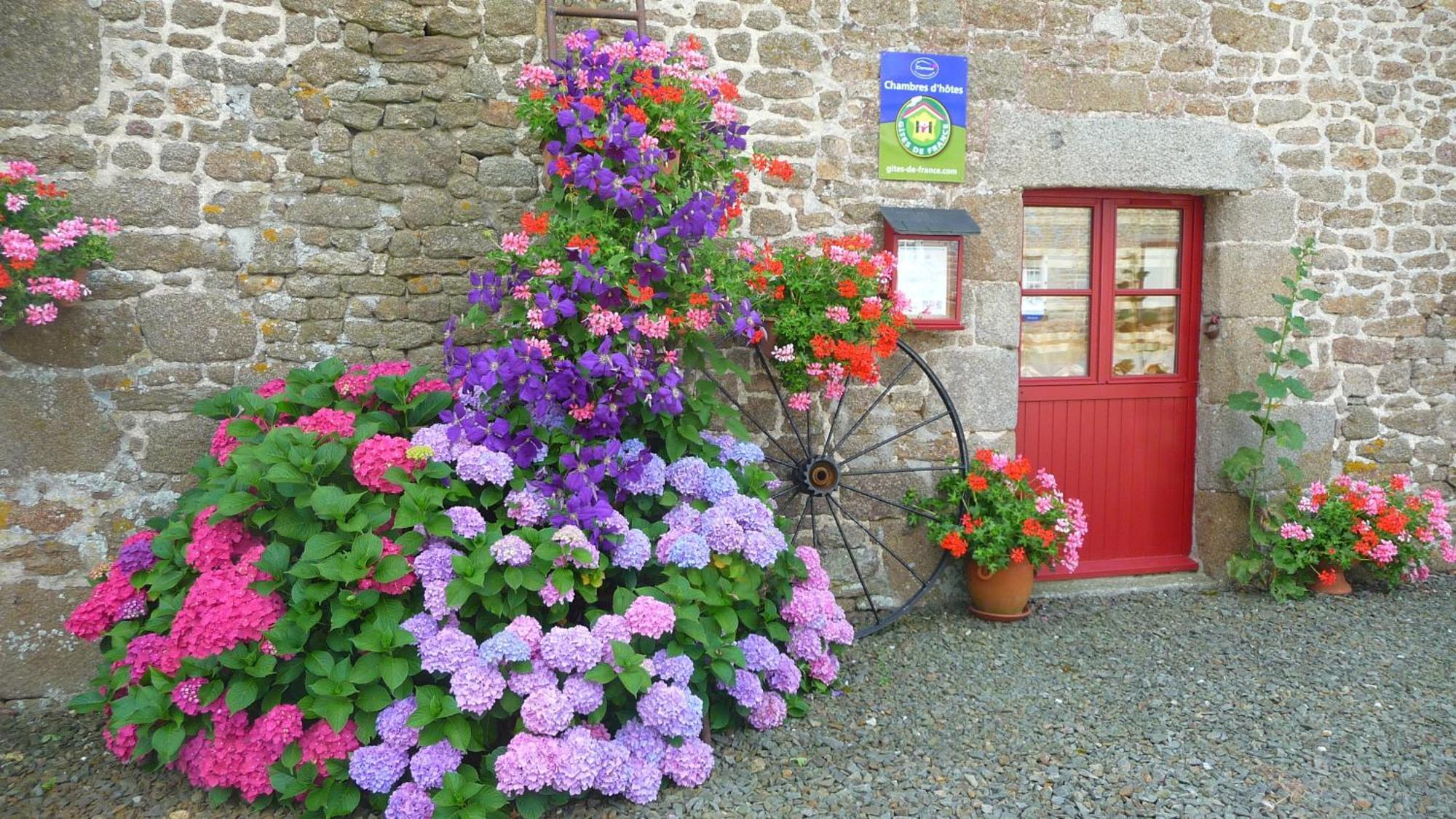 Chambres D'Hotes Le Bas Rassinoux Saint-Ouen-des-Alleux Buitenkant foto
